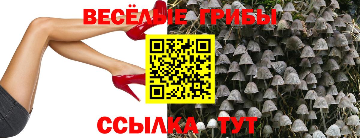 Железноводск  купить   Вход с VPN  Галлюциногенные грибы Cubensis 