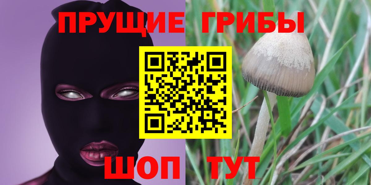 Псилоцибиновые грибы ЛСД Железноводск